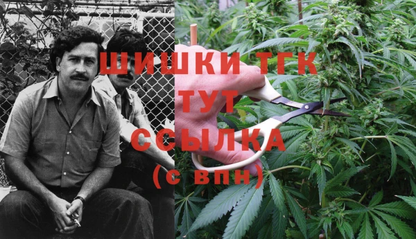 Альфа ПВП Нея