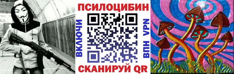 Псилоцибиновые грибы Psilocybe  Пересвет 